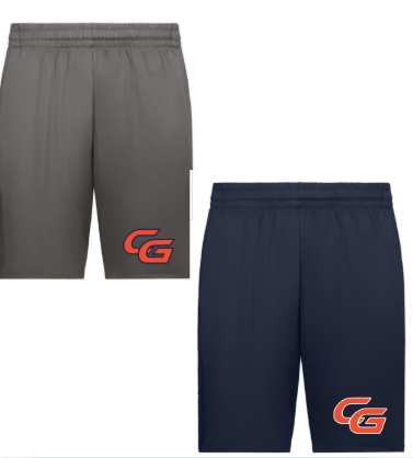Perfect Game - CG Logo Gamer Shorts